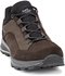 Hanwag Banks Low GTX (H203500) mocca/black