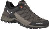 Salewa 00-0000061361-7512-11.5, Salewa Mtn Trainer Lite Goretex Approach Shoes