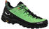 Salewa Alp Trainer 2 GTX (61400) green pale frog/black