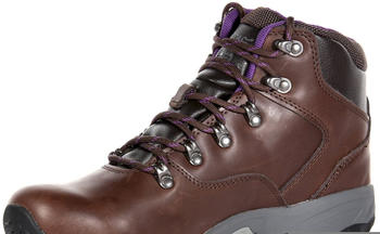Regatta Women's Bainsford Waterproof Walking Boots chestnut alpine purple