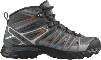 Salomon X Ultra Pioneer Mid GTX Women magnet/quiet shade/coral gold