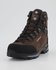 Lowa Camino EVO GTX brown