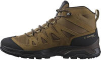 Salomon LI4177_L47181800, Salomon X Ward Leather MID GTX Herren Multifunktionsschuhe,