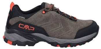 CMP Melnick (3Q18597-Q906) fango