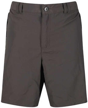 Regatta Leesville II Shorts (RMJ235) ash/granite
