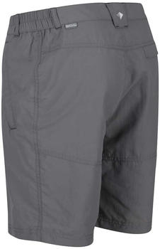 Regatta Leesville II Shorts (RMJ235) ash