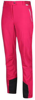 Regatta Mountain III Pants (RWJ247) rethink pink