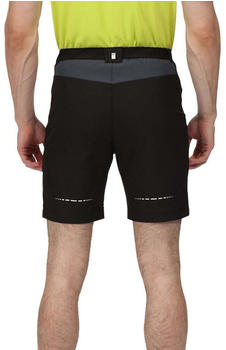 Regatta Mountain II Shorts (RMJ264) black/india grey