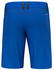 Salewa Agner Durastretch Shorts Herren (00-0000028556) electric/0910