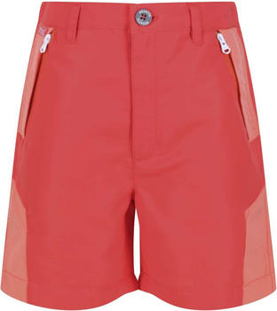Regatta Sorcer Mount II Shorts (RKJ122) neon peach/fusion coral