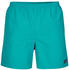 Patagonia Men's Baggies Shorts - 5