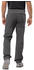 Jack Wolfskin Hiking Alpine Pants M slate