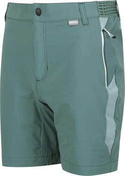 Regatta Mountain Shorts II Wanderhose grün