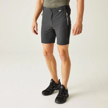 Regatta Mountain II Wandershorts grau