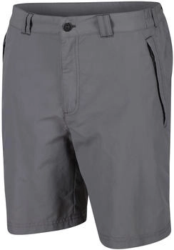 Regatta Leesville II Herrenshorts ash
