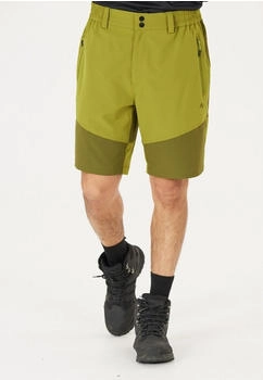 Whistler Shorts AVIAN M ACTIV STRETCH grün