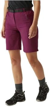 Regatta Xert Stretch Light Kurze Hose beaujolais RWJ269-5UU-GERW36