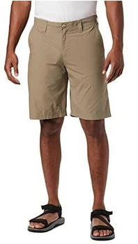 Columbia Washed Out Shorts sage