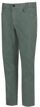 Wild Country Stamina Kletterhose oliv
