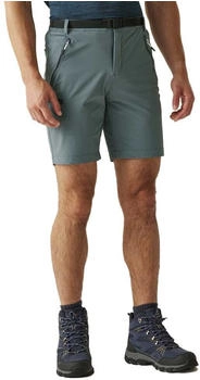Regatta Xert III Stretchshorts mattgrau