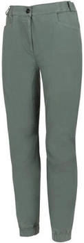 Wild Country Stamina Hose grün