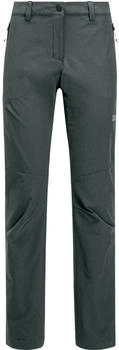 Jack Wolfskin Holdsteig Pants W (1507702) slate green