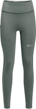 Jack Wolfskin Klintal Tights W (1508901) slate green