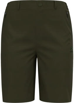 Odlo Ascent Light Shorts grün