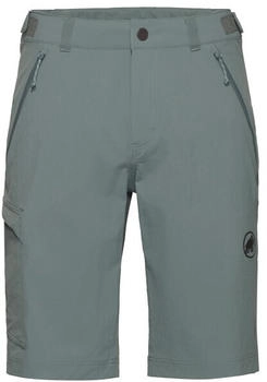 Mammut Runbold IV Shorts Herren strata