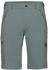 Mammut Runbold IV Shorts Herren strata