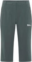 Jack Wolfskin A63934, JACK WOLFSKIN Damen Hose HIKEOUT 3|4 PANTS W Grau female