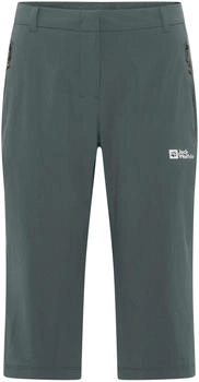 Jack Wolfskin Hikeout Hose Damen gr&uuml;n schiefergr&uuml;n