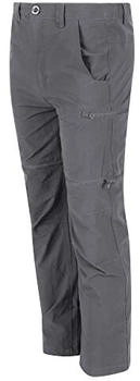 Regatta Highton Stretch Zip-off-wanderhose für Kinder grau