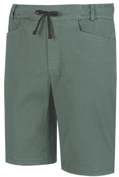 Wild Country Stamina Shorts grün schwarz