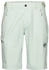 Mammut Runbold IV Shorts Men (1023-01190)