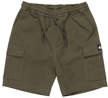 Quiksilver Kid's Taxer Cargo Shorts grapeleaf