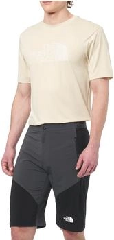 The North Face NF0A825X4JK M FELIK Slim Tapered Short Shorts asphalt grau schwarz