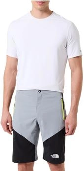 The North Face Felik Slim Tapered Shorts grau