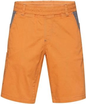 Chillaz Neo Shorts braun