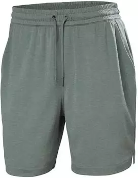 Helly Hansen Lifa Tech Lite Jogger grün/grau
