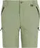 Regatta Leesville III Wanderhose light sage