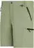 Regatta Leesville III Wanderhose light sage