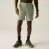 Regatta Leesville III Wanderhose light sage