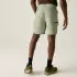 Regatta Leesville III Wanderhose light sage