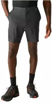 Regatta Light Insect Repellent Reiseshort (RMJ360) asche