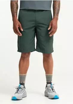 Jack Wolfskin Duneland Shorts Men Kurze Hose Herren green sago palm (A65926_E0271)