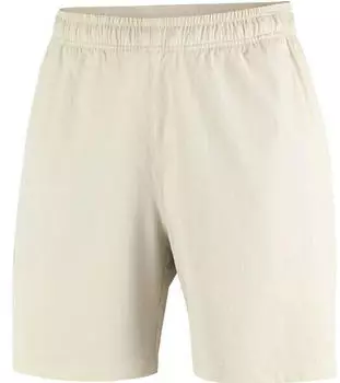 Salomon Wayfarer Ease 2.0 Funktionsshorts (LC2749500) silver cloud