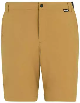Regatta Anti-insect Travel Light Shorts wood brown