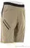 Dynafit Traverse Hybrid Shorts fallen rock