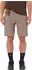 Salomon Wayfarer 2.0 Shorts M Short (LC2747000) iron